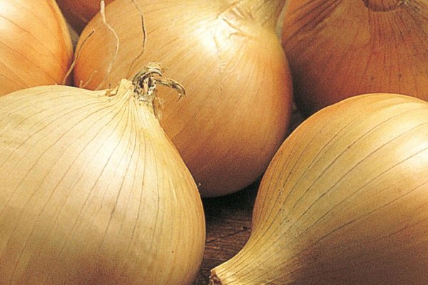 Актуальный сайт кракена