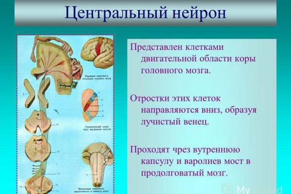 Как зайти на площадку кракен