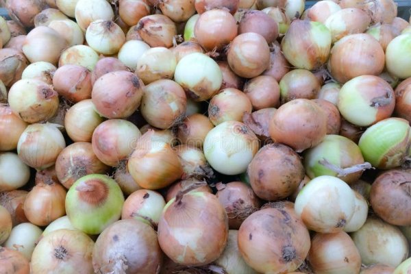 Правильная ссылка на кракен