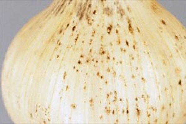 Кракен зеркало 2kraken biz